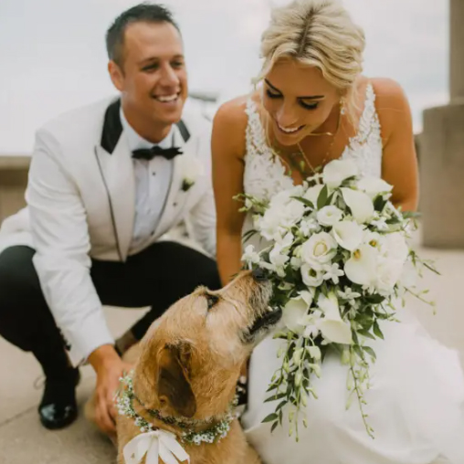 wmc-weddings-slider-143400